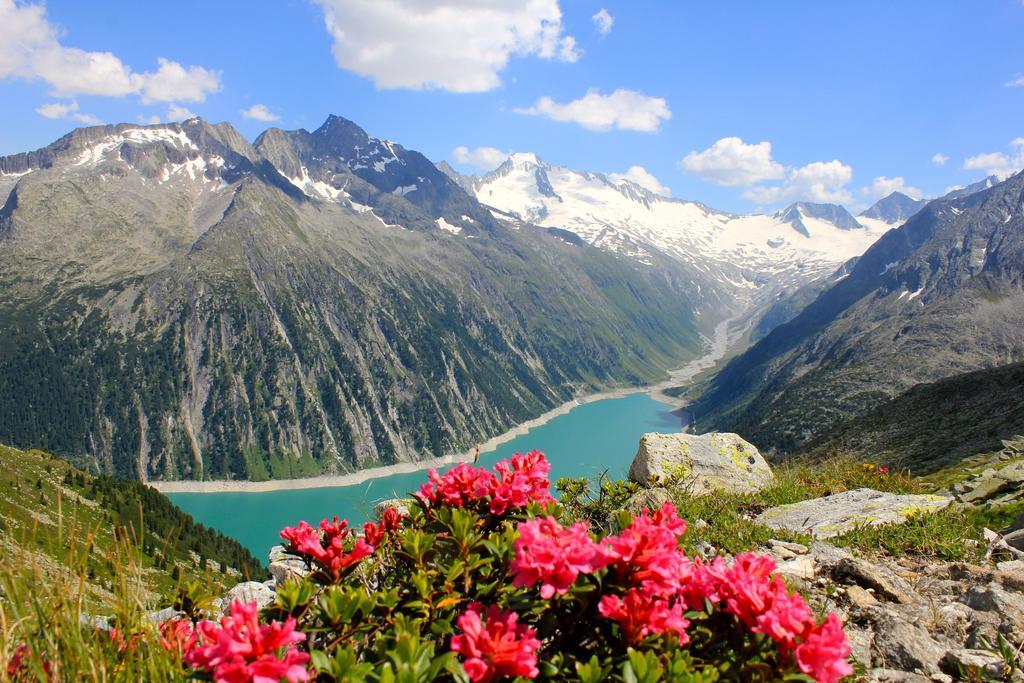 Alpen Appartements Hochmuth マイヤーホーフェン 部屋 写真